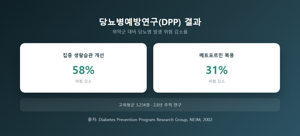 당뇨병예방연구(DPP) 결과 — 위약군 대비 당뇨병 발생 위험 감소율, 집중 생활습관 개선 58% 감소, 메트포르민 복용 31% 감소, 고위험군